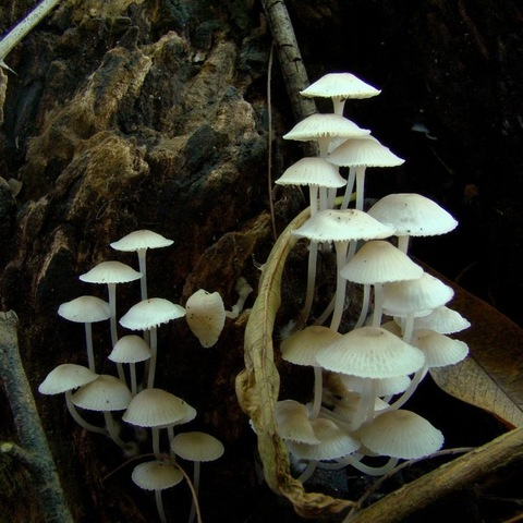 Image d'en-tête OnlyFans x0oxo_0o