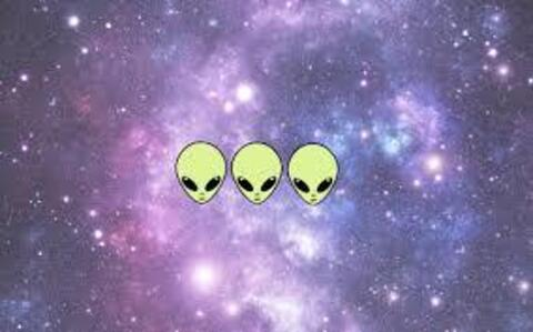 OnlyFans 헤더 사진 xandrawild