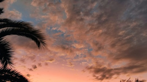 Image d'en-tête OnlyFans xinnn.a