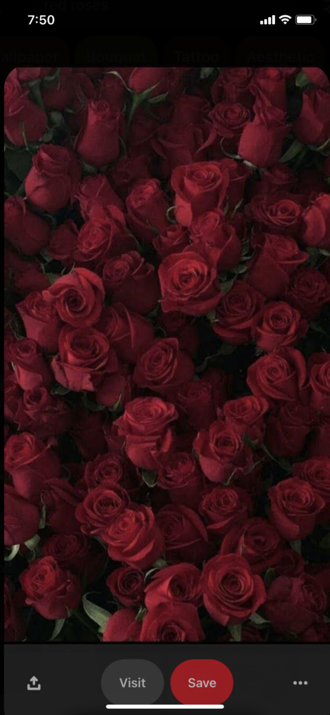 OnlyFans Titelbild xo__koko69