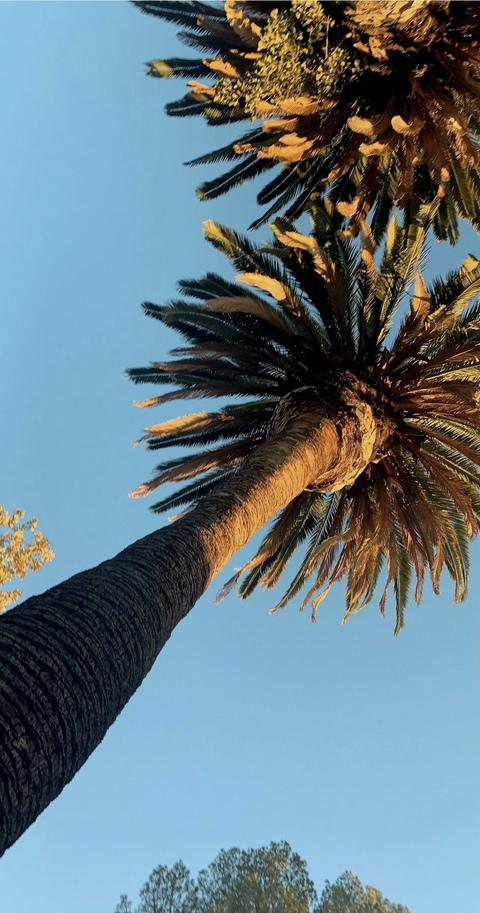 Image d'en-tête OnlyFans xoskyexo