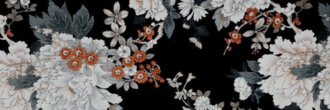 OnlyFans Titelbild xoxo_yuri