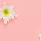 Photo de profil OnlyFans de xoxoxoxo11