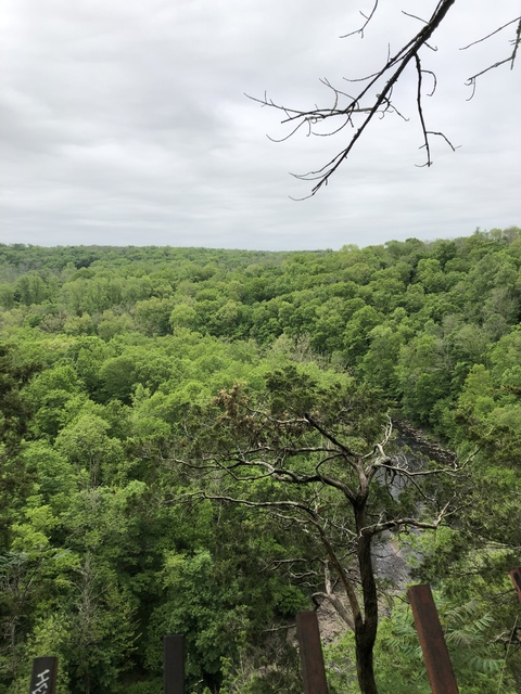 OnlyFans Titelbild xpancakexx