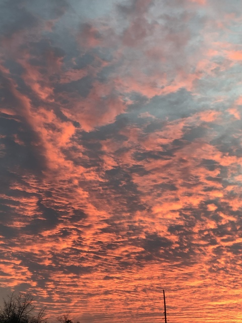 OnlyFans kopafbeelding xxxdunesxxx