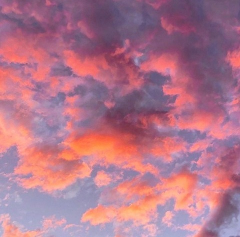 OnlyFans 헤더 사진 y2k_baby