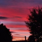 Аватар профиля OnlyFans yarella