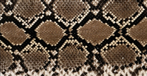 Снимка на заглавие на OnlyFans yissellcl