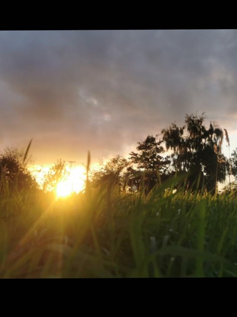 OnlyFans हेडर तस्वीर youngsinnernaughyboi