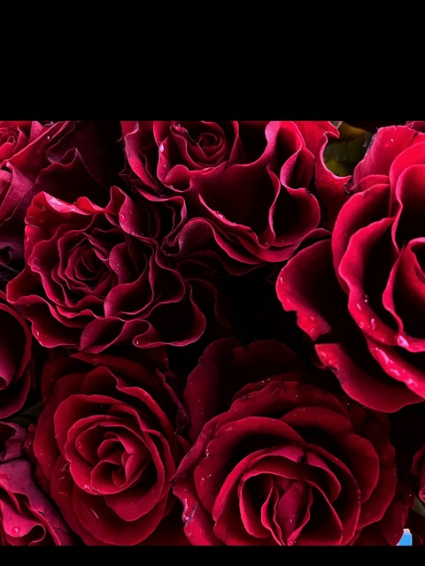 Снимка на заглавие на OnlyFans your_eva