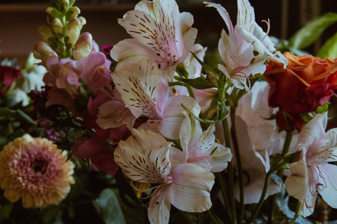 Imagen de encabezado de OnlyFans de yuccaverde