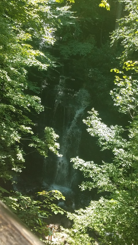 Imagem de cabeçalho do OnlyFans yummibella