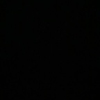 AlleenFans profielfoto zaddy83