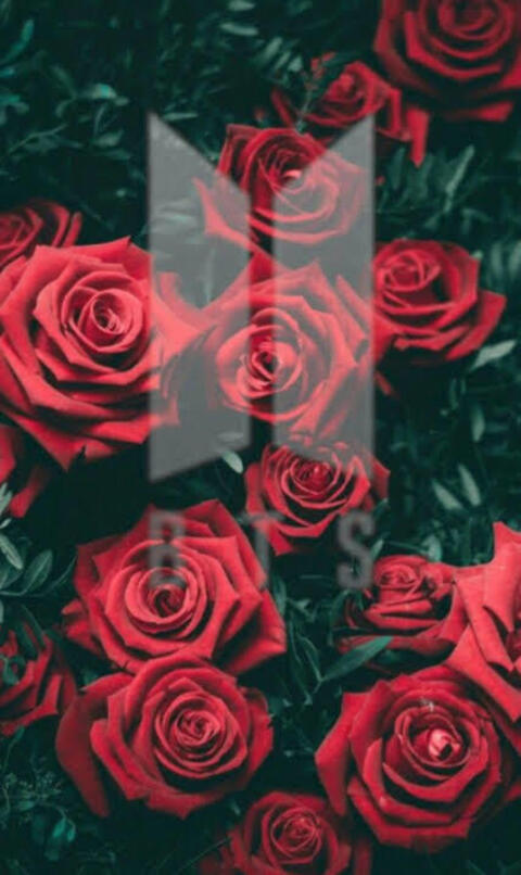 OnlyFans Titelbild zafirplayboy000