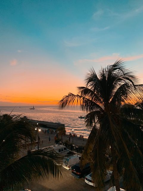 Изображение шапки OnlyFans zoewildxx