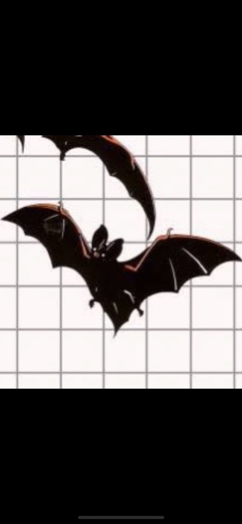 OnlyFans 헤더 사진 zsashax